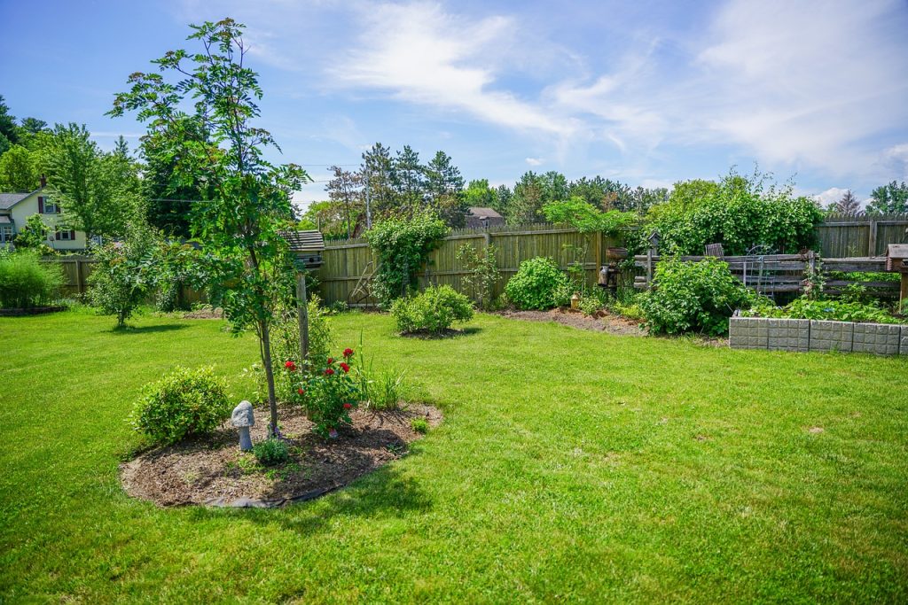 landscape, garden, flower background-7380474.jpg